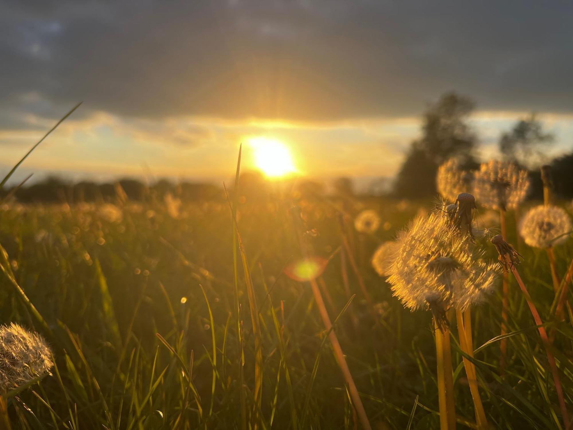 Wellbet Farm Hotel Swinderby Buitenkant foto